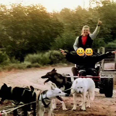 Casinha Siberiana, Casa De Habitación en casa particular