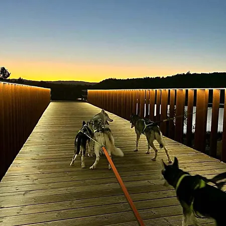 Casinha Siberiana, Casa De Проживание в семье Vila da Ponte (Viseu)