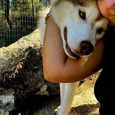 Casinha Siberiana, Casa De * Vila da Ponte (Viseu)