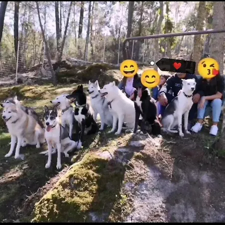 Habitación en casa particular Casinha Siberiana, Casa De