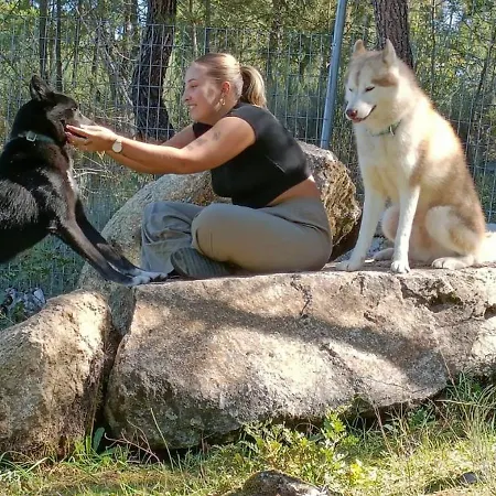 Casinha Siberiana, Casa De Vila da Ponte (Viseu)