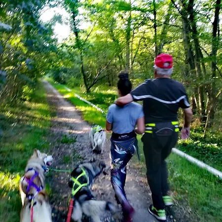 Проживание в семье Casinha Siberiana, Casa De