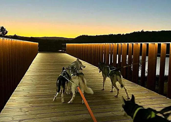 Casinha Siberiana, Casa De Kwatera prywatna Vila da Ponte (Viseu)