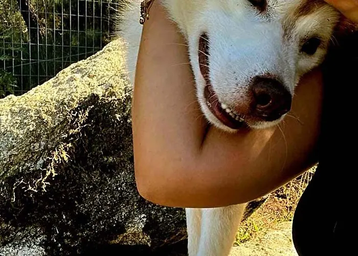 Casinha Siberiana, Casa De * Vila da Ponte (Viseu)