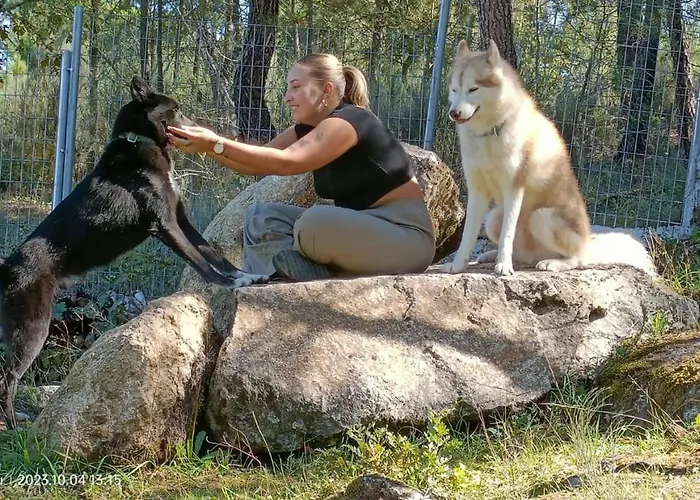 Casinha Siberiana, Casa De Vila da Ponte (Viseu)