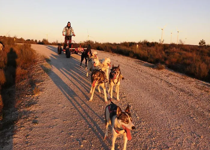 Casinha Siberiana, Casa De Vila da Ponte (Viseu)